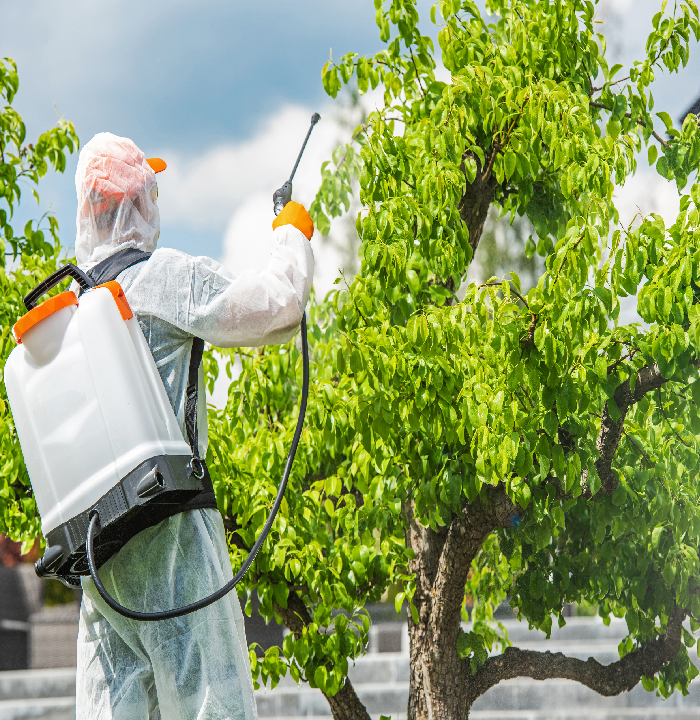 أرخص شركة إبادة حشرات