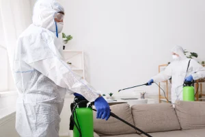 إبادة حشرة البق