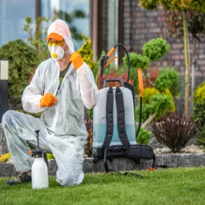 شركة رش القراد