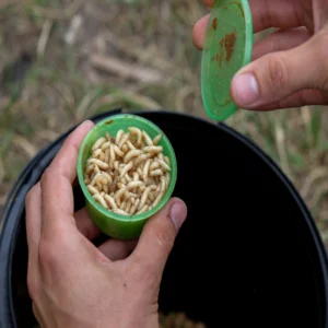 شركة رش النمل الأبيض