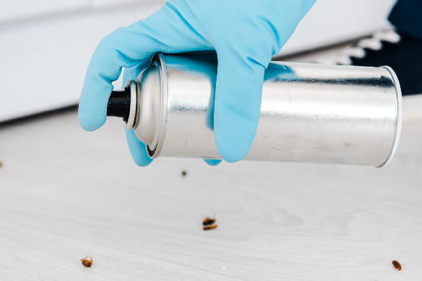 شركه رش الصراصير