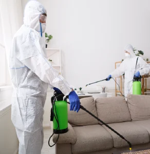 مكافحة حشرة الفراش 