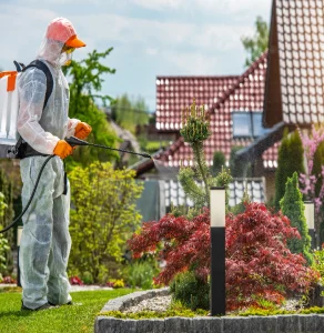 مكافحه حشره الفراش