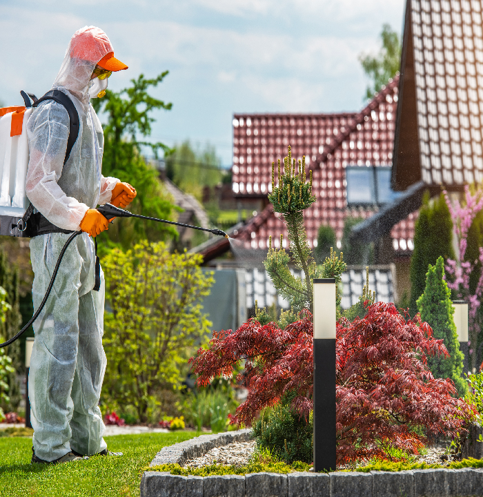 مكافحه حشره الفراش