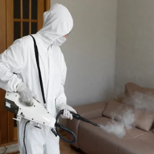 طريقة ابادة البق