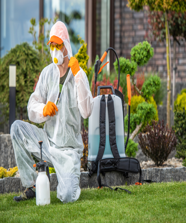 أفضل شركة مكافحة حشرات في مدينتي (1)