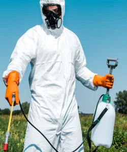 أفضل شركة مكافحة حشرات في مدينتي (2)