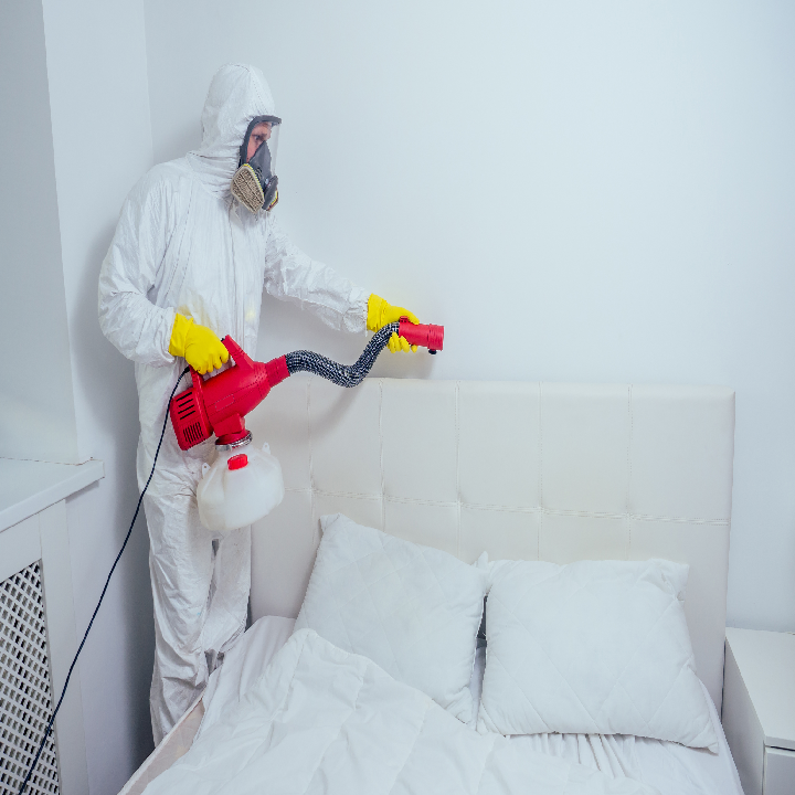 ابادة البق مدينتي (1)