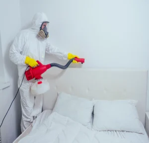 ابادة حشرات كايرو فستيفال سيتي مدينة نصر (3)