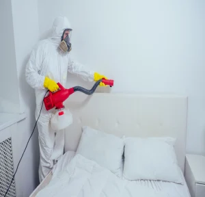 مكافحة حشرات مدينتي (1)